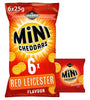 MINI CHEDRED LEIC  6pk 12