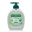 PLM H/WASH HYGIENE 300ml