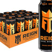 REIGN OR DREAM CAN 500ml