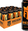 REIGN OR DREAM CAN 500ml